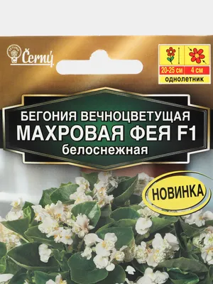 Бегония вечноцветущая махровая Королева Красная, семена, 4шт., F1 |  AliExpress