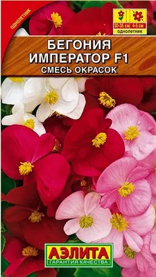 Бегония Вечноцветущая Император F1 смесь окрасок 10 шт. купить оптом в  Томске по цене 22,65 руб.
