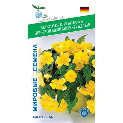 Бегония клубневая АмериГибрид Раффлд Желтая Begonia tuberosa AmeriHybrid  Ruffled Yellow - купить семена цветов с доставкой по Украине в магазине  Добродар