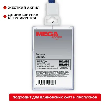 Магнитный бейдж пластиковый с окном Forceberg 70х40 мм, золотой — купить по  лучшей цене — Мир Магнитов в Москве