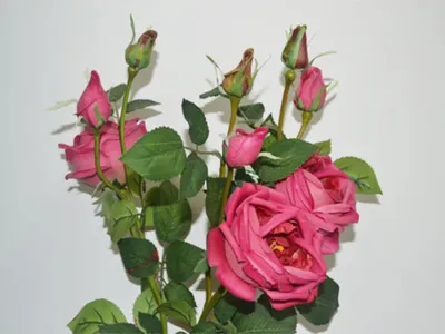 Искусственная роза белая, 30 см ✿ Купить розы искусственные интернет  магазин Москва