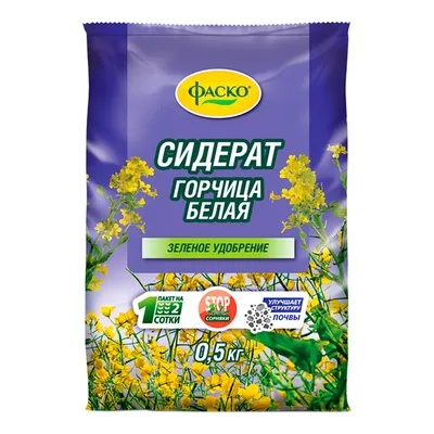 Горчица белая: 1 кг, купить в Киеве. Украина - Magazin-semena