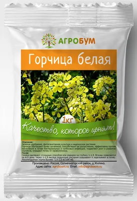Горчица белая - 0,5 кг - – Garden Seeds Market | Бесплатная доставка