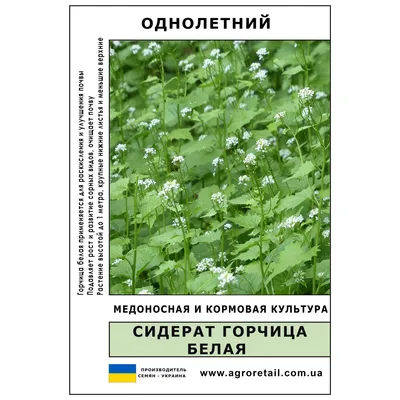 Горчица белая зерно (Украина)