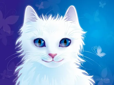 Кошка снежной красоты: белая кошка в новом формате webp