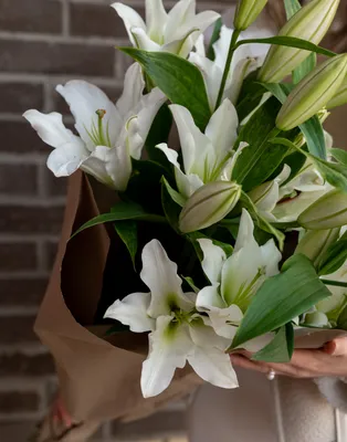 5 веток белой лилии купить в Минске - LIONflowers