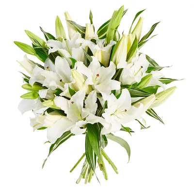 Лилия белая поштучно в Россоши от лучшей компании «Love Flowers»