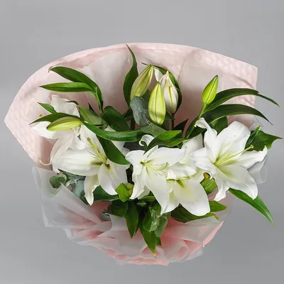 Заказать Букет \"Белая лилия\" | Цветули - уникальный сервис по доставке  цветов без накруток и посредников в городе Полысаево