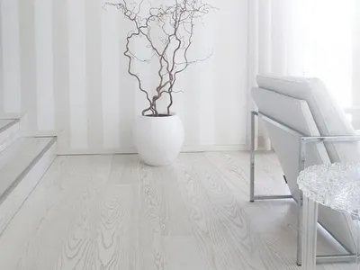 Паркетная доска Focus Floor Дуб Ostro White купить в Москве, выгодные цены  в каталоге интернет-магазина ADV-Parket