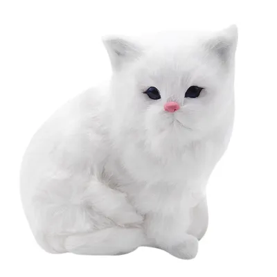 Фото белой персидской кошки в хорошем разрешении