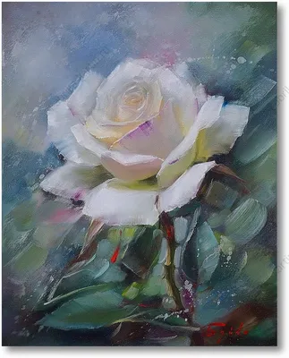 Картинка Розы белая цветок вблизи Черный фон 2560x1440