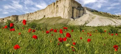 Глэмпинг в Крыму \"White Rock\" у Белой Скалы, Белогорск – официальный сайт