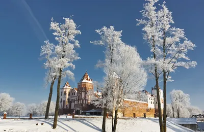 Беларусь зимой фото