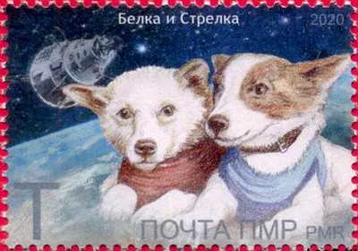 Кто был первым: Белка и Стрелка или Дезик и Цыган
