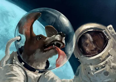 Дворняги-камикадзе. Как Белка и Стрелка слетали в космос и вернулись домой