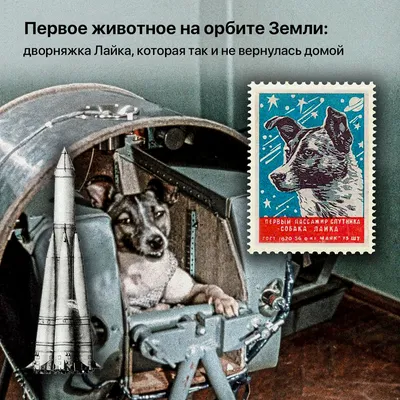 Белка и Стрелка - первые собаки-космонавты» — создано в Шедевруме