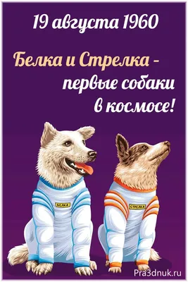 Дневник тренировок Белки и Стрелки. Публикуется впервые. История  нечеловеческого освоения космоса. Имена. Даты. Морды — Новая газета