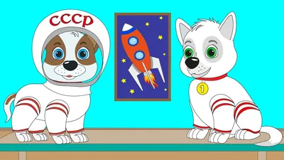 Первые собаки-космонавты покорили космос ровно 61 год назад -  Рамблер/новости
