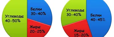 Здоровье - #еда #тарелка #овощи #белок #углеводы #жиры... | Facebook