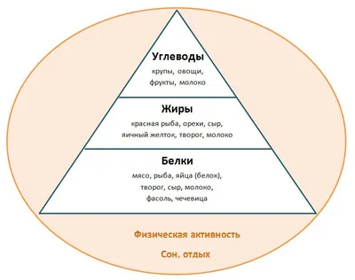 Стенд \"Витамины, белки, жиры, углеводы\" 0,8х0,9 м купить | СТЕНДЫ в  Саратове заказать