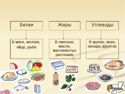 Белки, жиры, углеводы. 6 стоящих книг, чтобы начать разбираться в еде -  CityDog.io