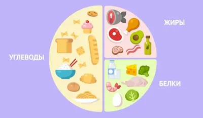 Значение белков, жиров и углеводов в питании
