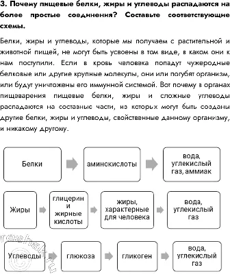 Принципы рационального питания | ЗВЕЗДА — Становлянская газета