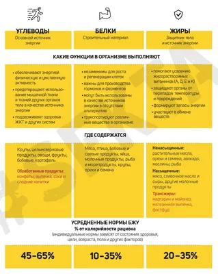 ASKLEPIY Distribution - 7 видов питательных веществ. Углеводы, жиры, белки,  витамины, минералы, клетчатка и вода — 7 главных компонентов пищи.  🥕🥑🫑🍳🍗🥖 Углеводы, являясь основным источником энергии, обеспечивают  организм теплом и топливом для