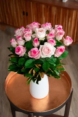 Купить саженцы розы чайно гибридной Белла Вита с доставкой в Москве и  Подмосковье