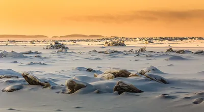 Белое море зимой фото фотографии