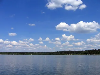 Белое озеро пенза фото