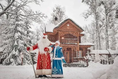 Беловежская пуща зимой: зубры, поместье Деда Мороза
