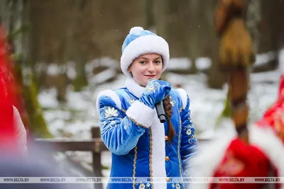 Спасенного зимой лебедя-шипуна в Беловежской пуще выпустили на волю —  Реальный Брест