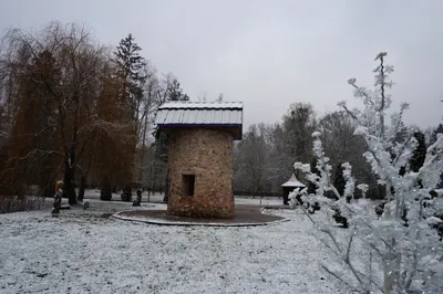 Беловежская пуща зимой: зубры, поместье Деда Мороза