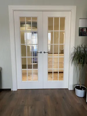 Щитовые белые двери со стеклом