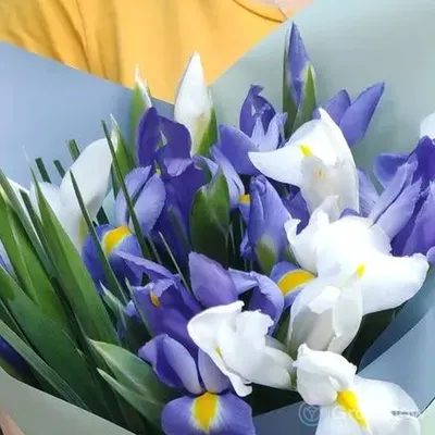 Купить алмазная вышивка Паутинка Белые ирисы, 46x31 см, цены на Мегамаркет  | Артикул: 600001111768