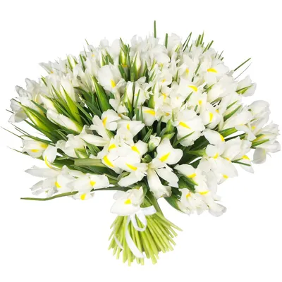 Набор для вышивания АЛИСА Белые ирисы 40х27см, 2-36 - купить в Юмаркет,  цена на Мегамаркет