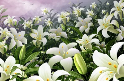 Белые лилии стоковое фото. изображение насчитывающей никто - 32381318
