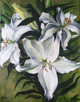 Белые лилии» картина Журавок Вероники (бумага, пастель) — заказать на  ArtNow.ru