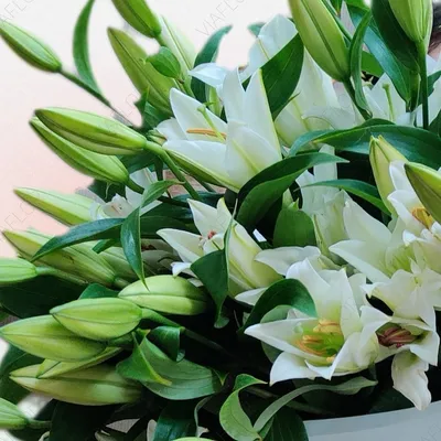 Купить Букет 7 веток белой лилии R1502 в Москве, цена 3 850 руб.