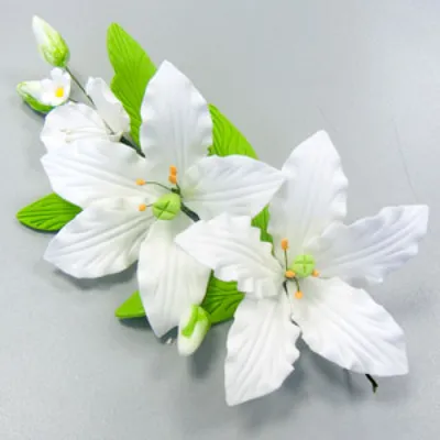 Белые лилии с доставкой - Доставкой цветов в Москве! 21142 товаров! Цены от  487 руб. Цветы Тут