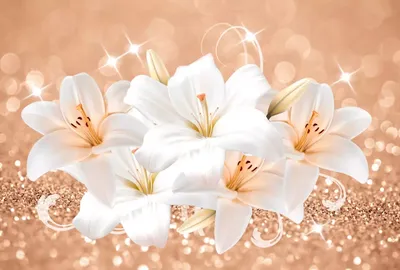 Заказать цветы белые лилии букет FL-1022 купить - хорошая цена на цветы белые  лилии букет с доставкой - FLORAN.com.ua