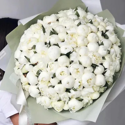 Купить Ароматные белые пионы в оформлении с доставкой в Краснодаре | Vanilla