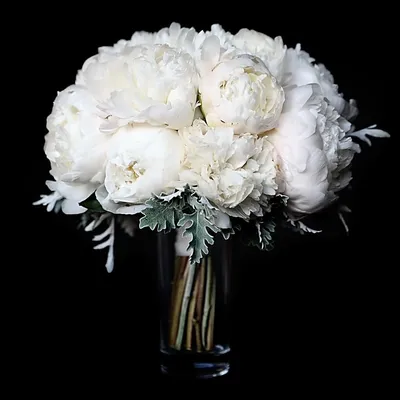 Букет из белых пионов - Доставкой цветов в Москве! 5615 товаров! Цены от  487 руб. Цветы Тут