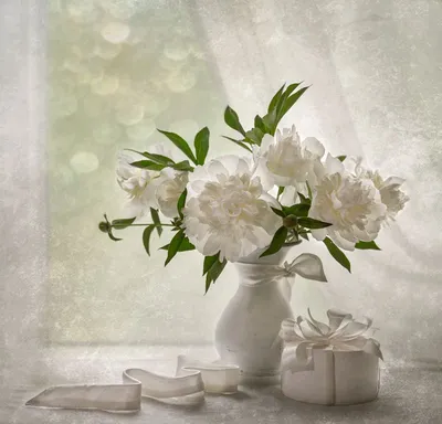 Белые пионы в вазе стоковое изображение. изображение насчитывающей романско  - 42477581