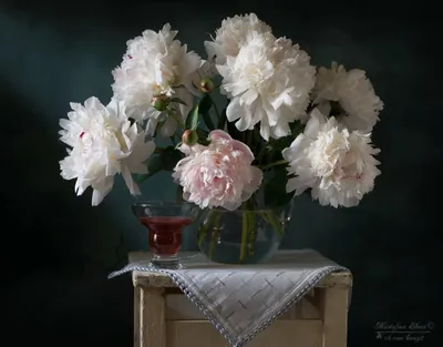 Пионы в вазе стильные белые пионы в руках флориста девушка-флорист собрала  букет обрезка весенних белых цветов подарок к празднику свежие цветы |  Премиум Фото