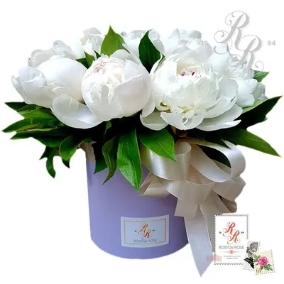 Букет из 35 белых и розовых пиона | Flowers Valley