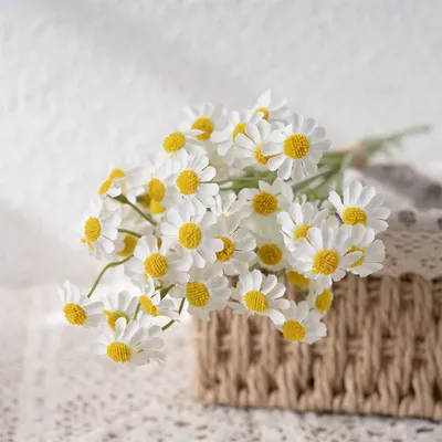Цветок искусственный в горшке Белые ромашки, 40 см, Gloria Garden - купить  в Москве, цены на Мегамаркет