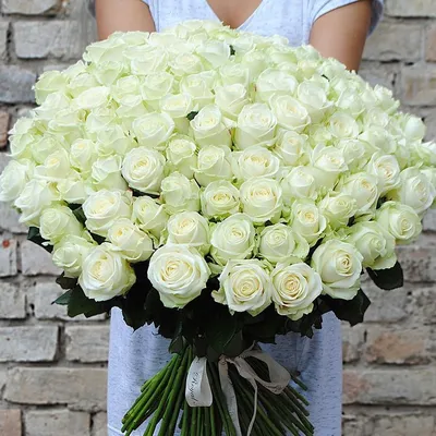 Белые розы большой букет фото фотографии