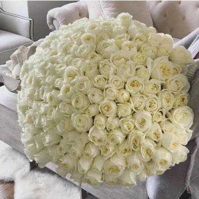 Букет из 101 белой розы Премиум (80 см) купить недорого, доставка - магазин  цветов Абари в Омске